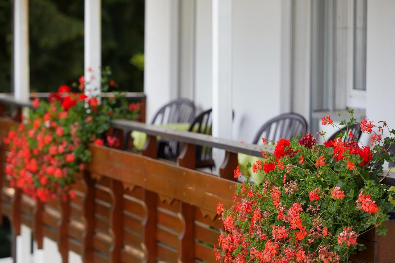 Tannmuehle Hotel Und Restaurant Gmbh Callenberg Εξωτερικό φωτογραφία