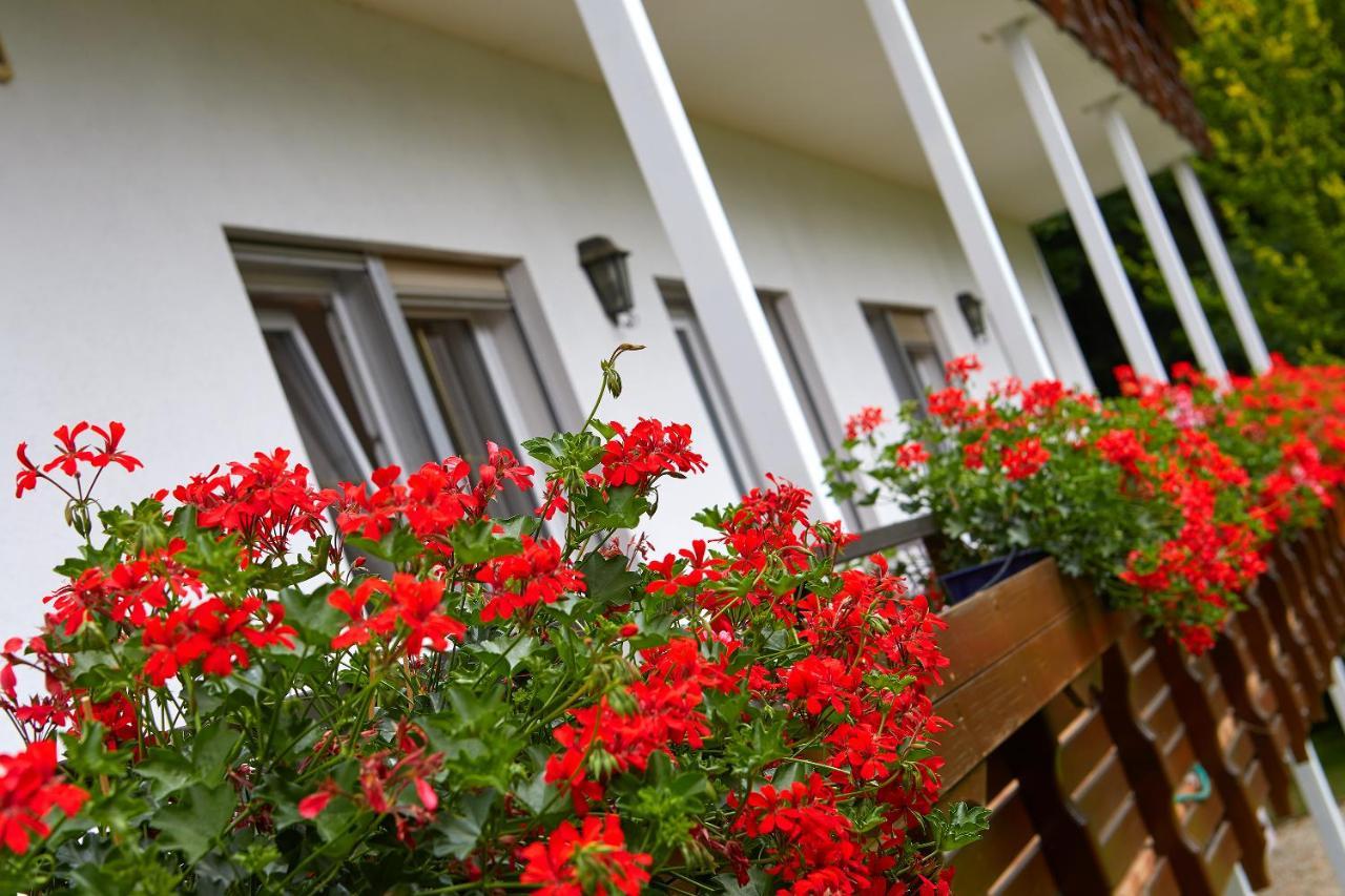 Tannmuehle Hotel Und Restaurant Gmbh Callenberg Εξωτερικό φωτογραφία